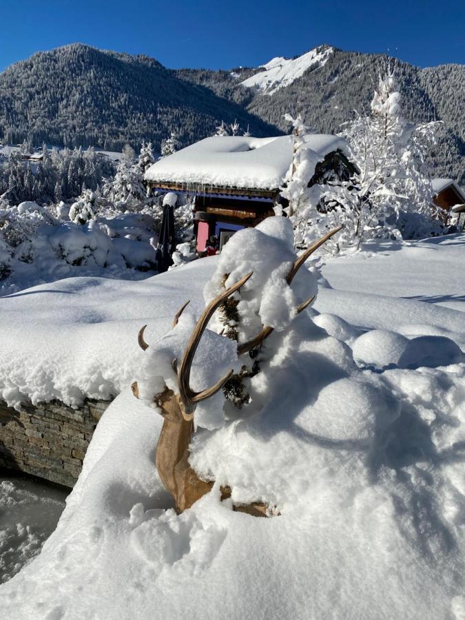 Micro-Lodge, Le Petit Nid D'Amour Montriond Eksteriør bilde