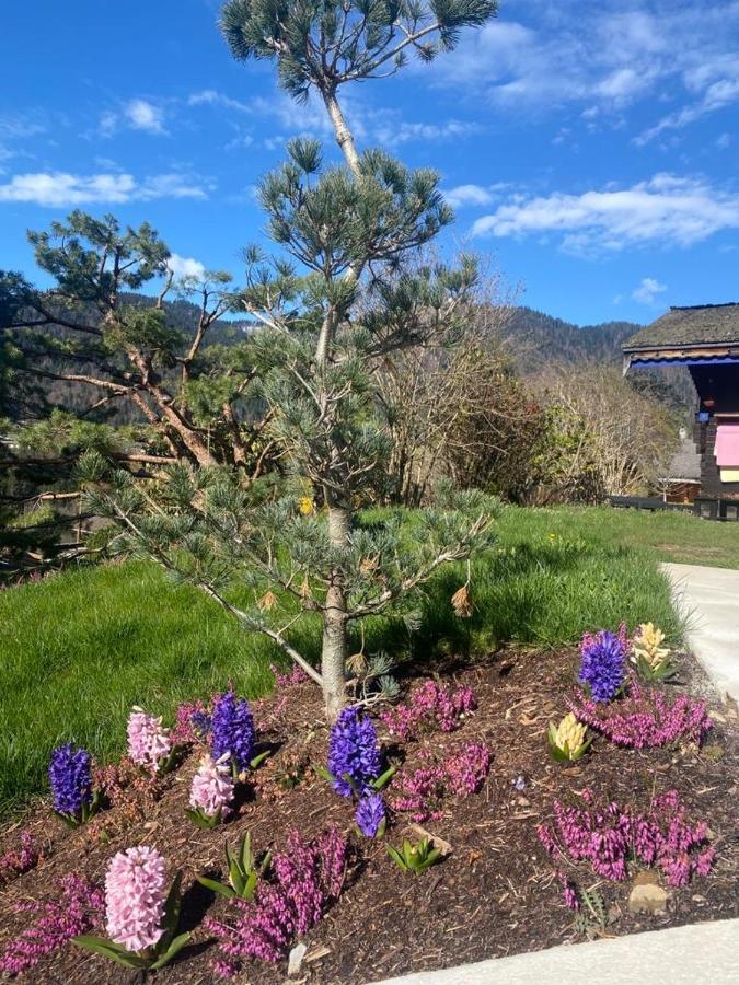 Micro-Lodge, Le Petit Nid D'Amour Montriond Eksteriør bilde