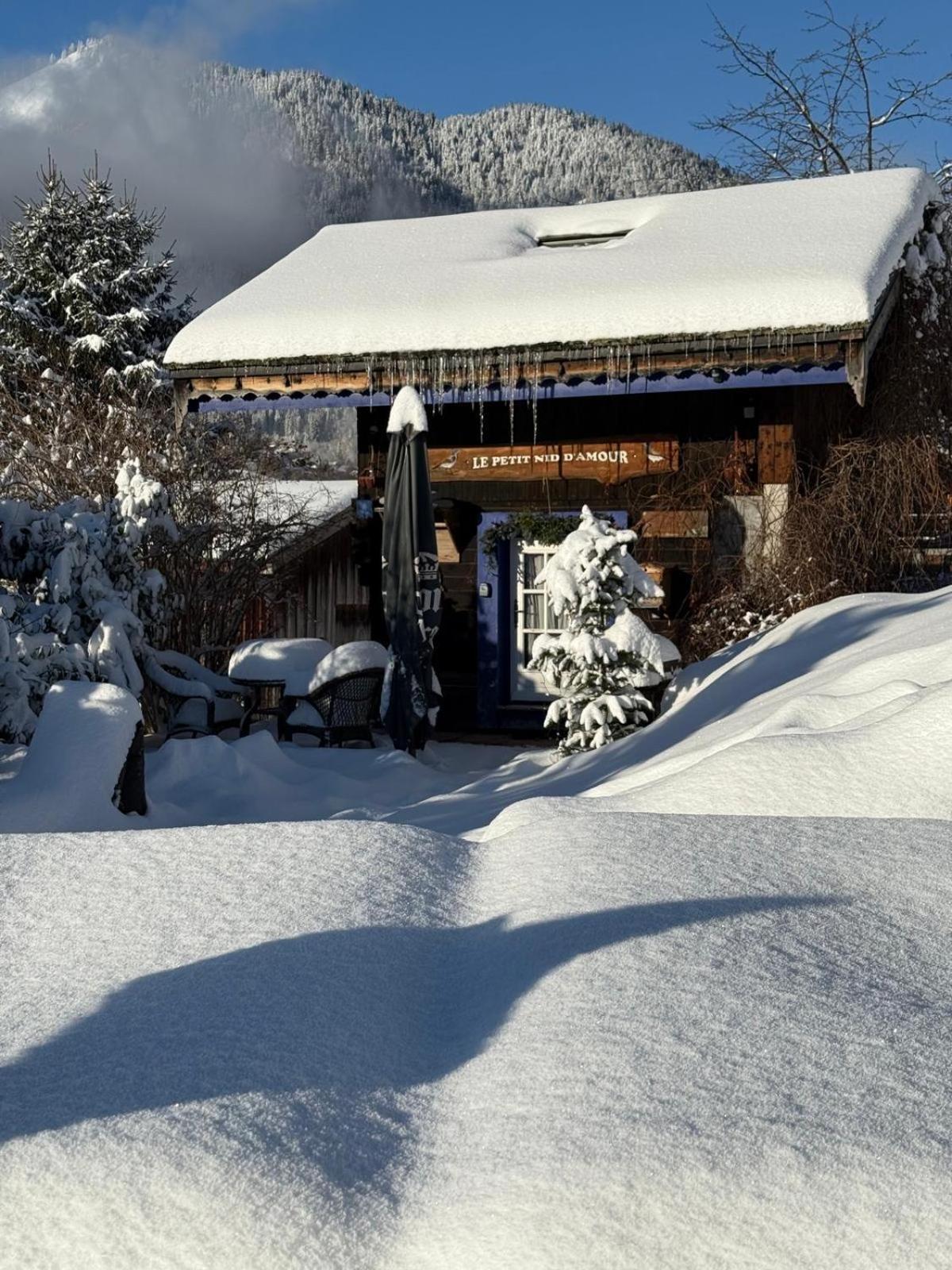 Micro-Lodge, Le Petit Nid D'Amour Montriond Eksteriør bilde