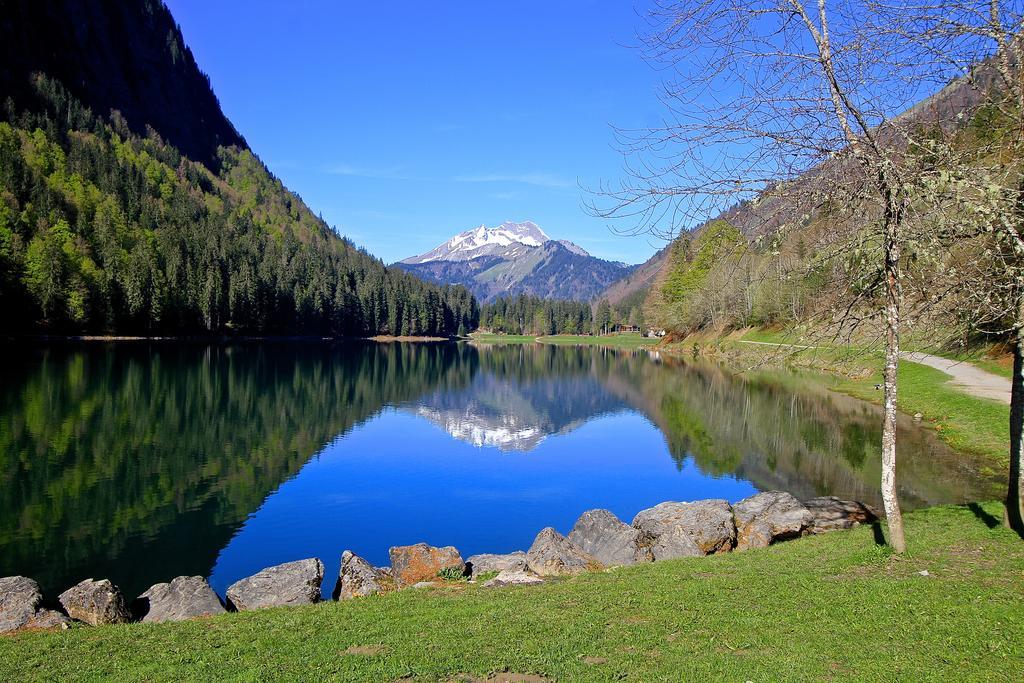 Micro-Lodge, Le Petit Nid D'Amour Montriond Eksteriør bilde